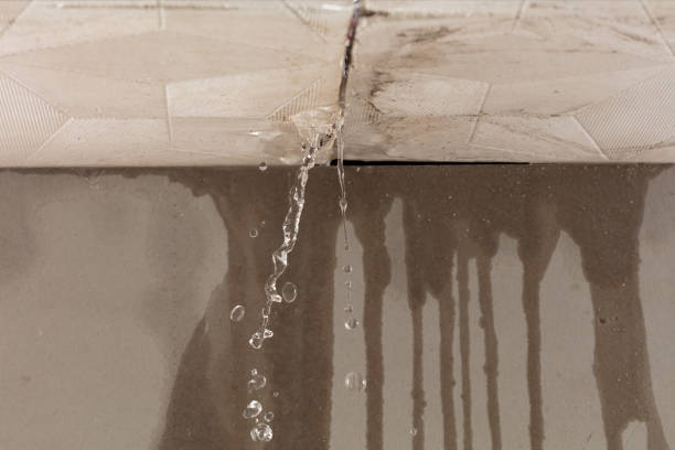 Professional Structural Drying technician working in Marshall, MI